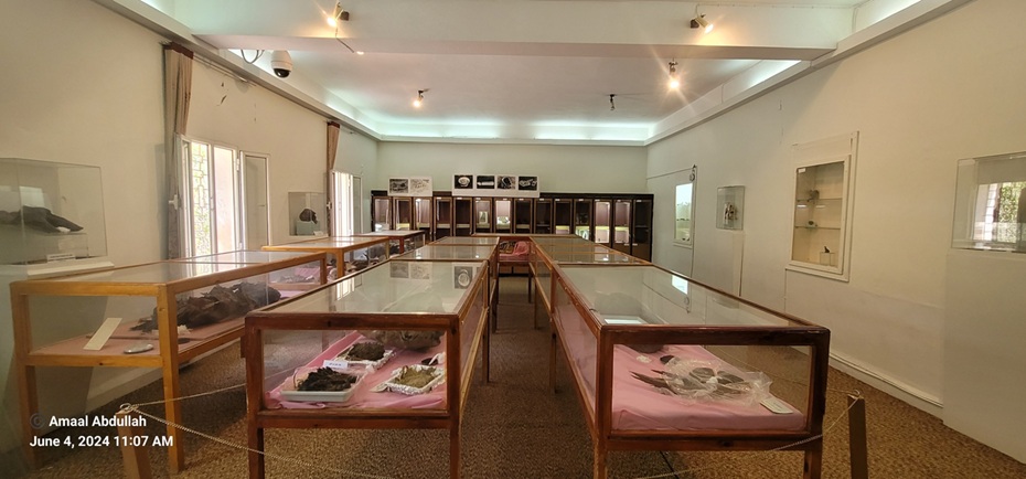 متحف قسم الآثار بجامعة صنعاء